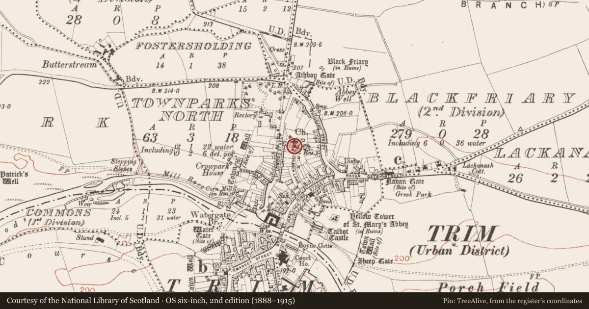 Ordnance Survey six-inch map, 2nd edition (1888–1915) covering the location of Graveyard, Townparks North, County Meath, with a pin at the register's coordinates