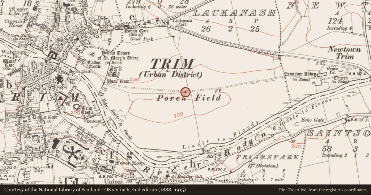 Ordnance Survey six-inch map, 2nd edition (1888–1915) covering the location of Road - hollow-way, Blackfriary (2nd division), County Meath, with a pin at the register's coordinates