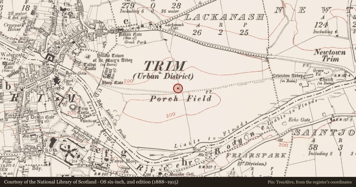 Ordnance Survey six-inch map, 2nd edition (1888–1915) covering the location of Cultivation ridges, Blackfriary (2nd division), County Meath, with a pin at the register's coordinates