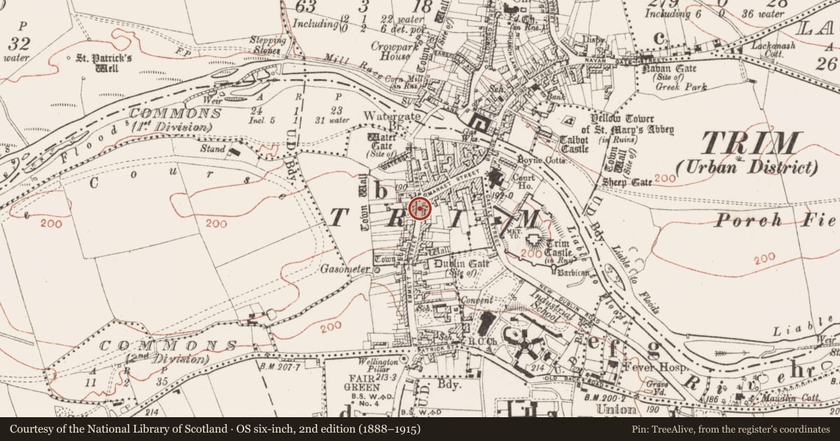 Ordnance Survey six-inch map, 2nd edition (1888–1915) covering the location of Excavation - miscellaneous, Townparks South, County Meath, with a pin at the register's coordinates