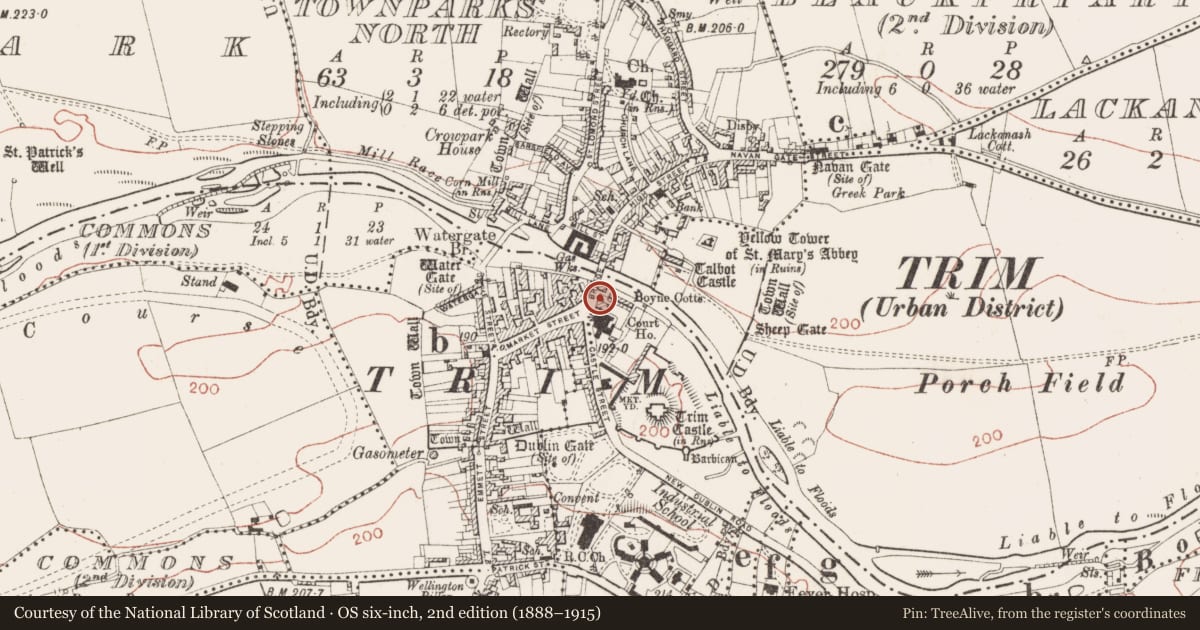 Ordnance Survey six-inch map, 2nd edition (1888–1915) covering the location of Stone head, Manorland (1st division), County Meath, with a pin at the register's coordinates