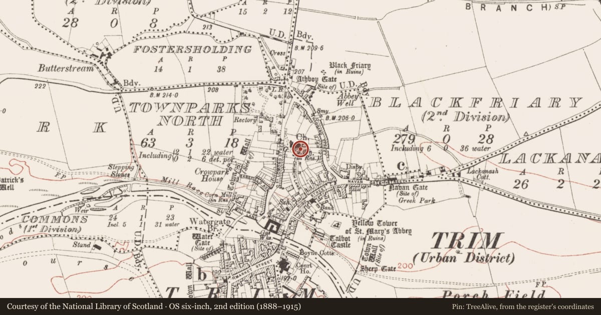 Ordnance Survey six-inch map, 2nd edition (1888–1915) covering the location of Graveslab, Townparks North, County Meath, with a pin at the register's coordinates