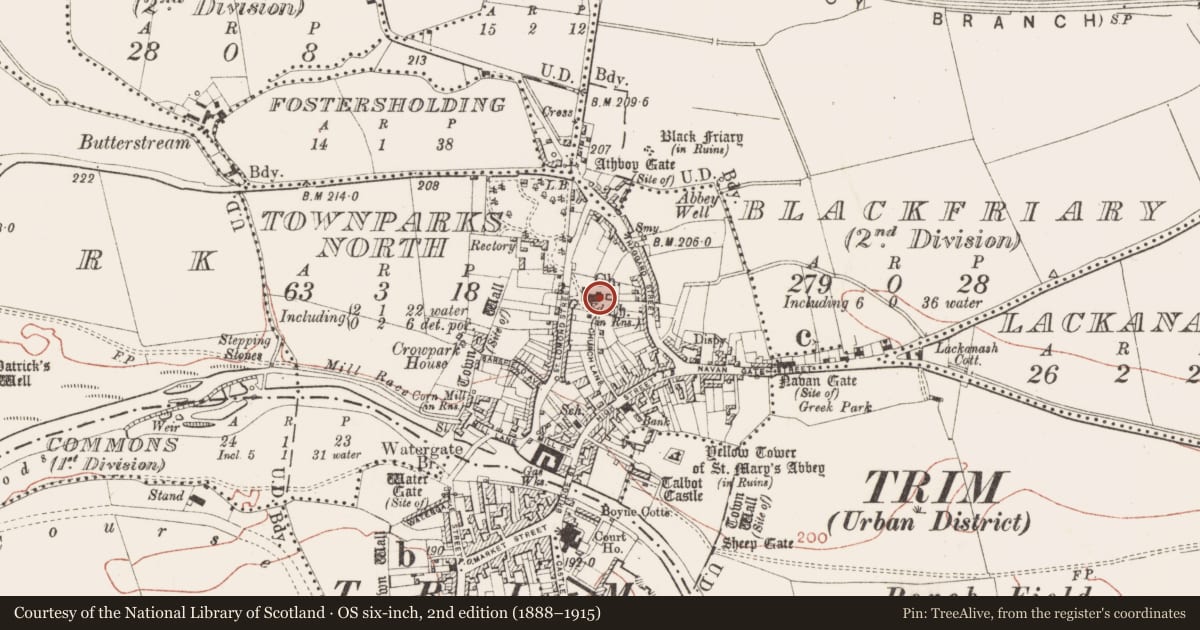 Ordnance Survey six-inch map, 2nd edition (1888–1915) covering the location of Graveslab, Townparks North, County Meath, with a pin at the register's coordinates