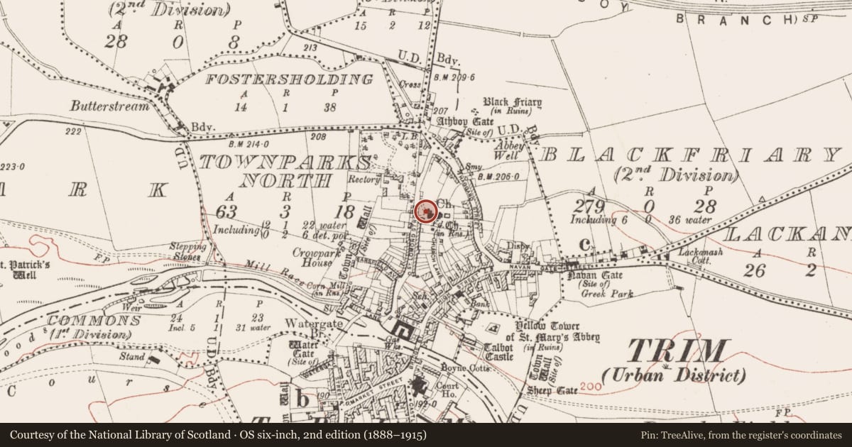Ordnance Survey six-inch map, 2nd edition (1888–1915) covering the location of Headstone, Townparks North, County Meath, with a pin at the register's coordinates