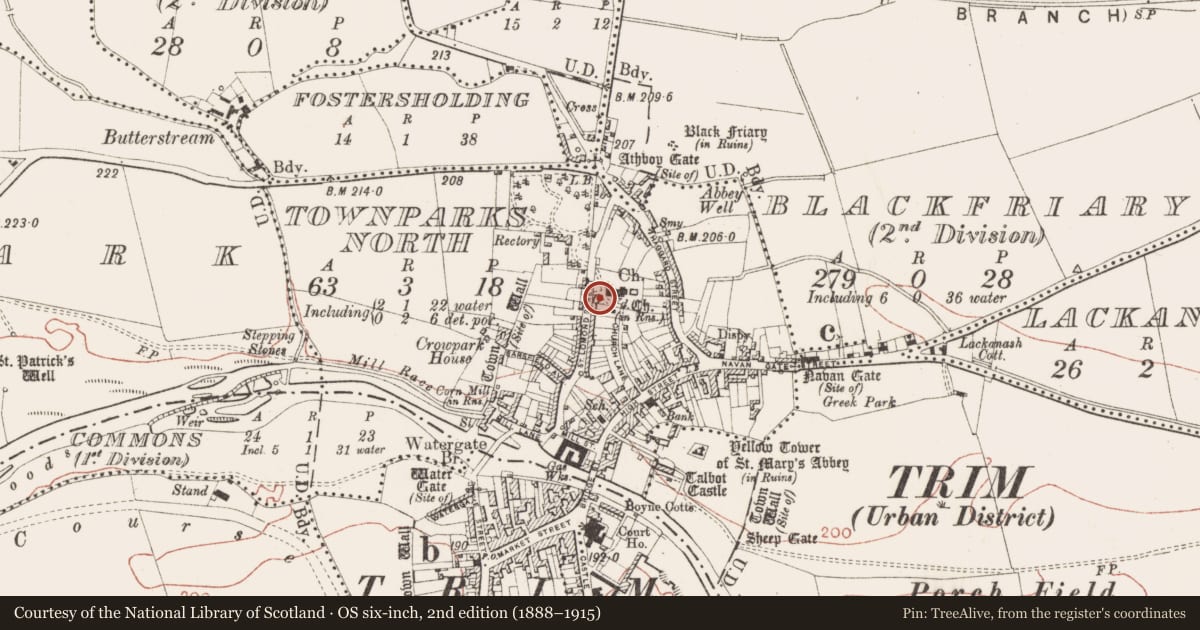 Ordnance Survey six-inch map, 2nd edition (1888–1915) covering the location of Graveslab, Townparks North, County Meath, with a pin at the register's coordinates