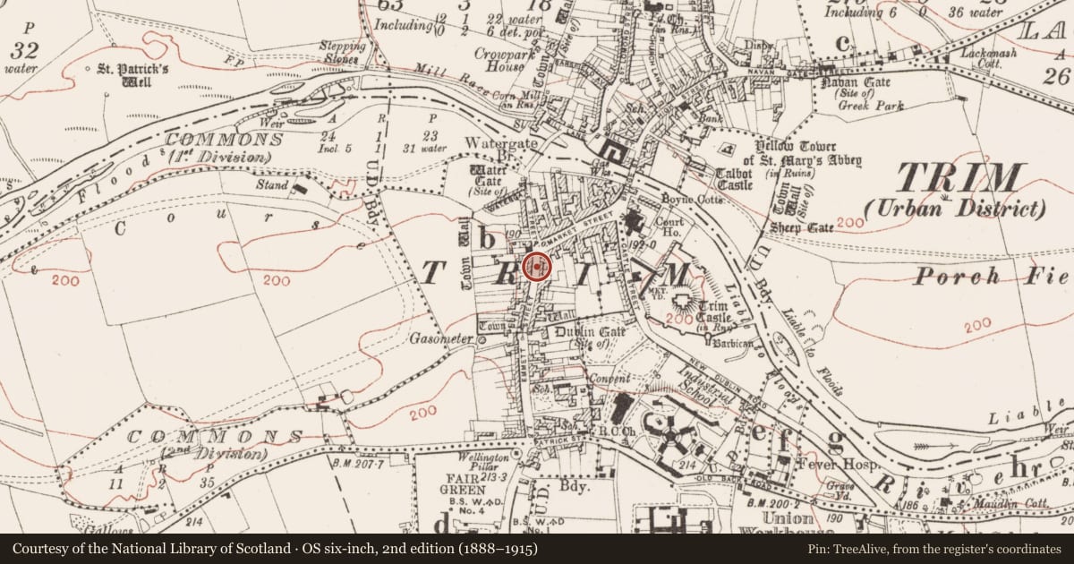 Ordnance Survey six-inch map, 2nd edition (1888–1915) covering the location of Well, Townparks South, County Meath, with a pin at the register's coordinates