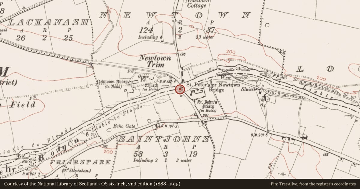 Ordnance Survey six-inch map, 2nd edition (1888–1915) covering the location of Bridge, Newtown, Saintjohns, County Meath, with a pin at the register's coordinates