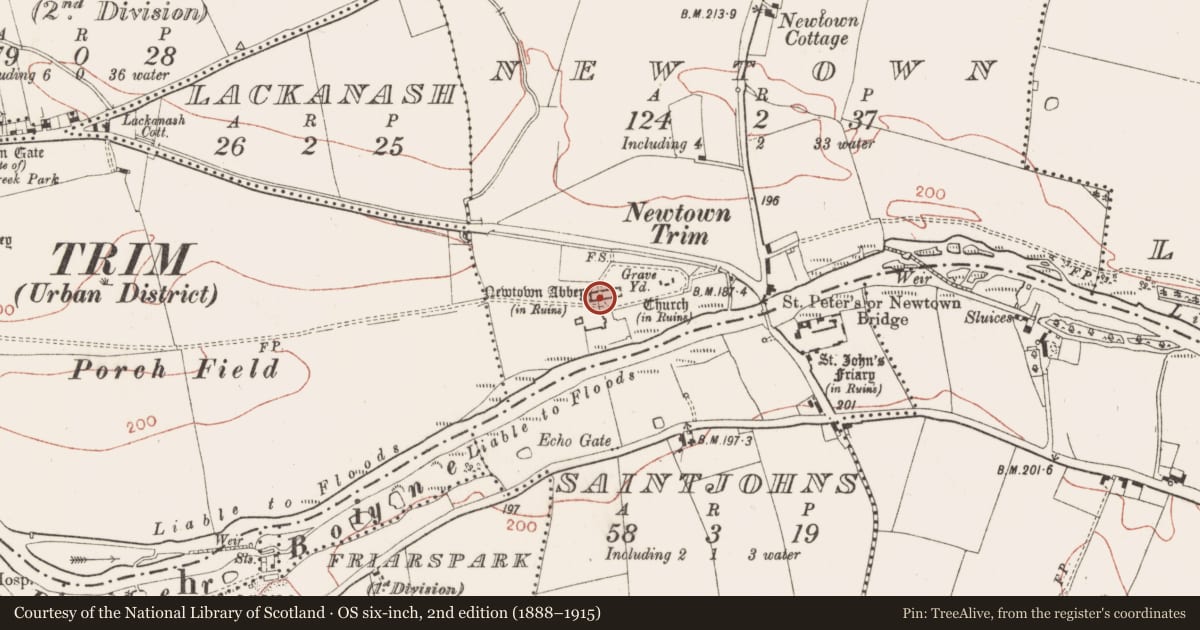 Ordnance Survey six-inch map, 2nd edition (1888–1915) covering the location of Cathedral, Newtown, County Meath, with a pin at the register's coordinates