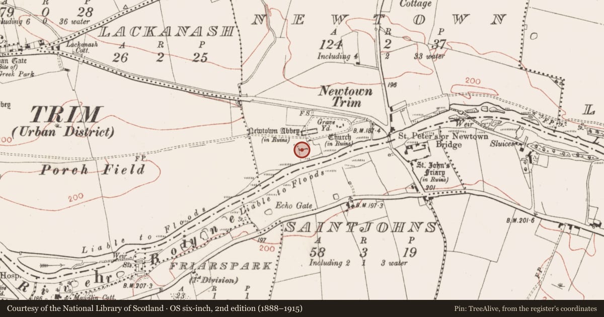 Ordnance Survey six-inch map, 2nd edition (1888–1915) covering the location of Religious house - Augustinian canons, Newtown, County Meath, with a pin at the register's coordinates
