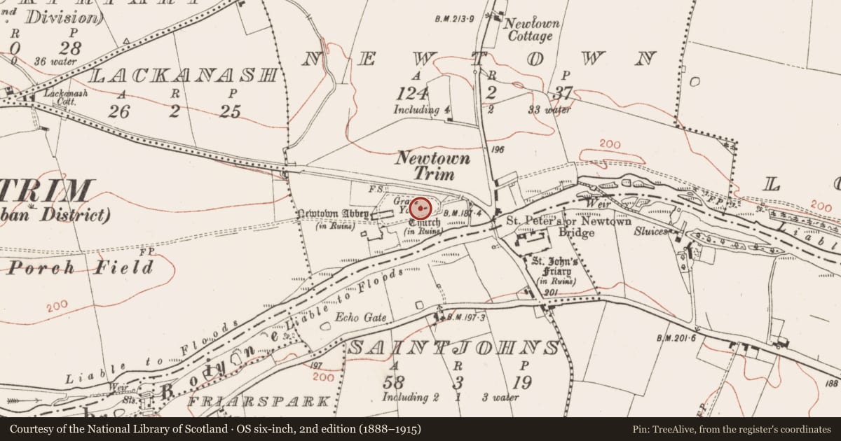 Ordnance Survey six-inch map, 2nd edition (1888–1915) covering the location of Church, Newtown, County Meath, with a pin at the register's coordinates