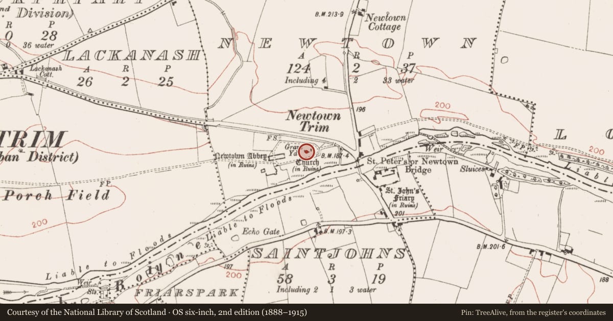 Ordnance Survey six-inch map, 2nd edition (1888–1915) covering the location of Tomb - effigial, Newtown, County Meath, with a pin at the register's coordinates
