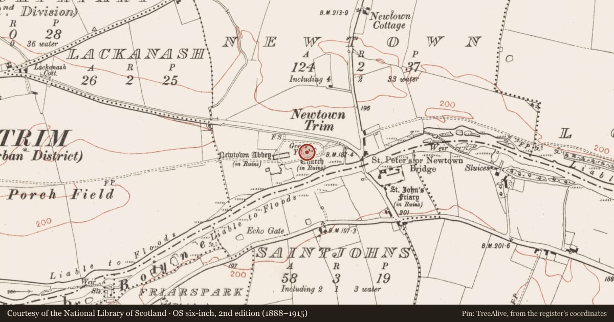 Ordnance Survey six-inch map, 2nd edition (1888–1915) covering the location of Font, Newtown, County Meath, with a pin at the register's coordinates