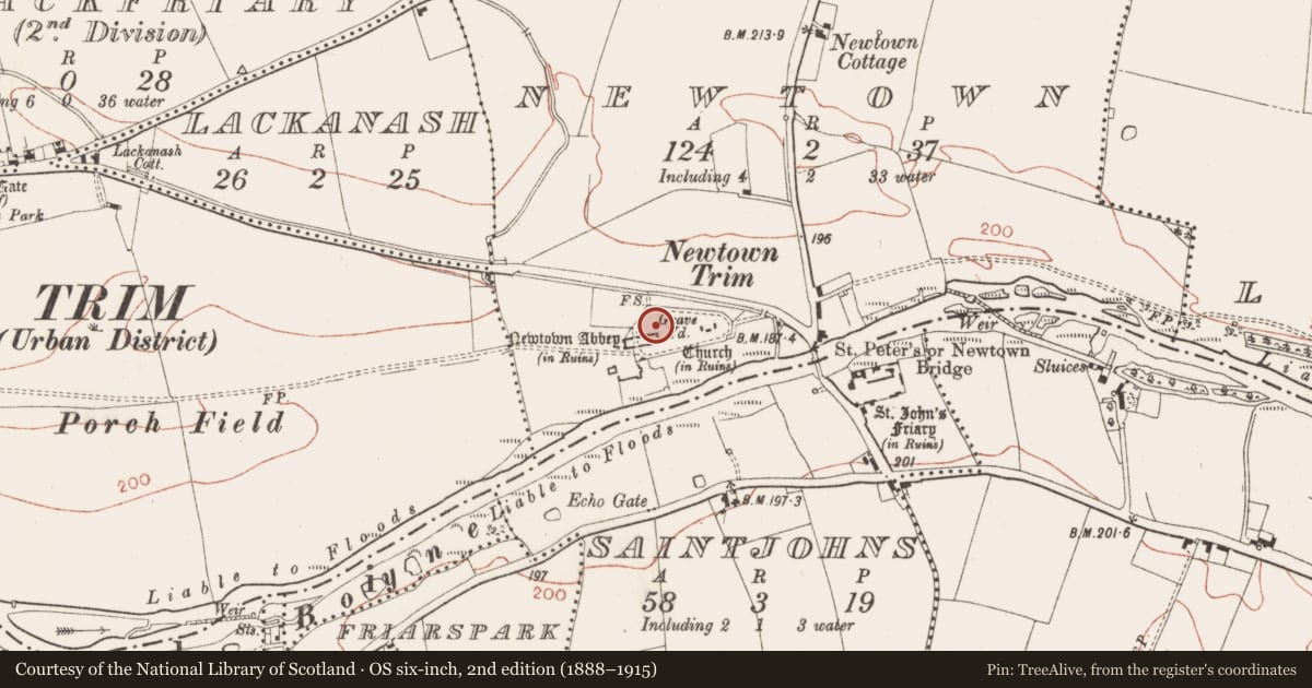 Ordnance Survey six-inch map, 2nd edition (1888–1915) covering the location of Holed stone, Newtown, County Meath, with a pin at the register's coordinates