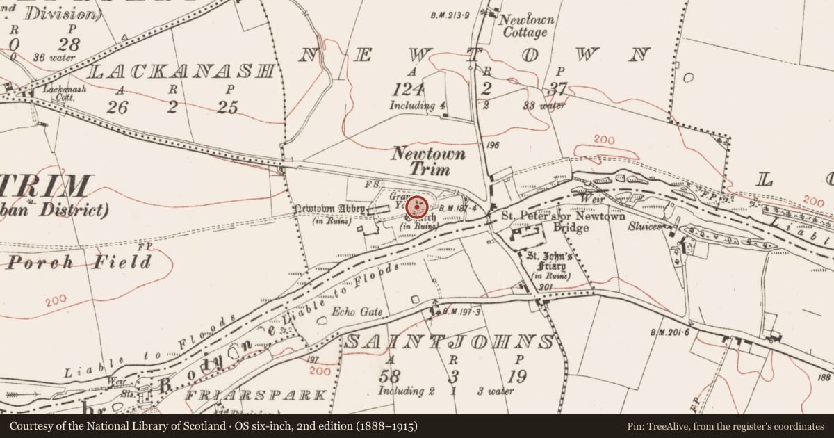 Ordnance Survey six-inch map, 2nd edition (1888–1915) covering the location of Graveslab, Newtown, County Meath, with a pin at the register's coordinates