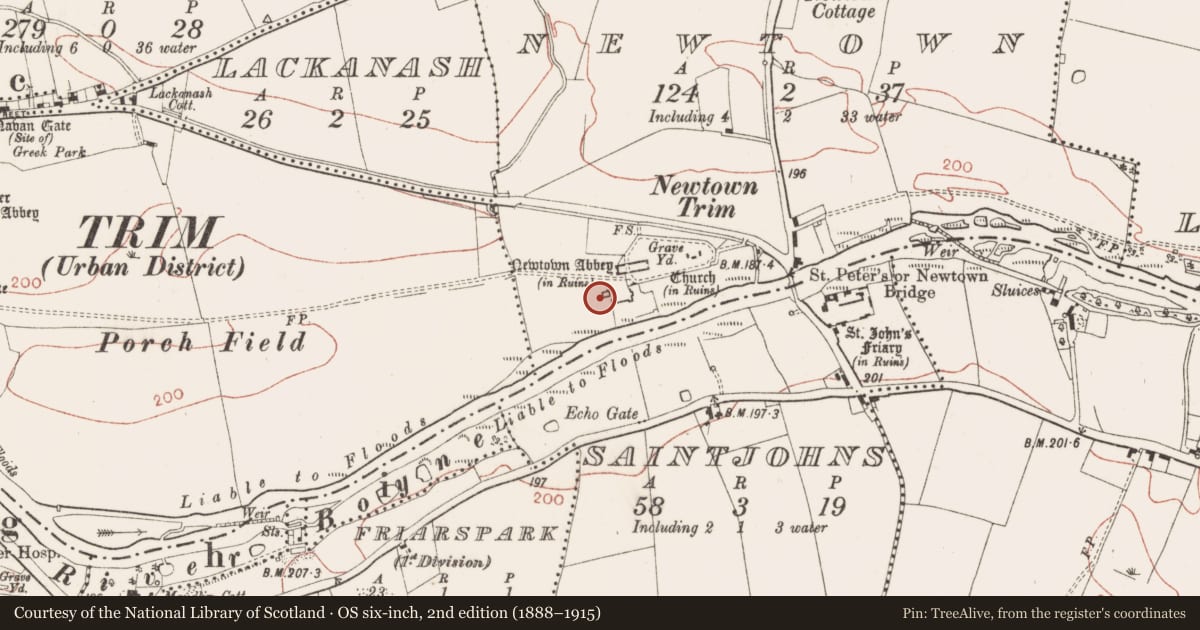 Ordnance Survey six-inch map, 2nd edition (1888–1915) covering the location of Castle - tower house, Newtown, County Meath, with a pin at the register's coordinates