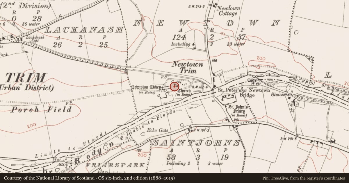 Ordnance Survey six-inch map, 2nd edition (1888–1915) covering the location of Graveyard, Newtown, County Meath, with a pin at the register's coordinates