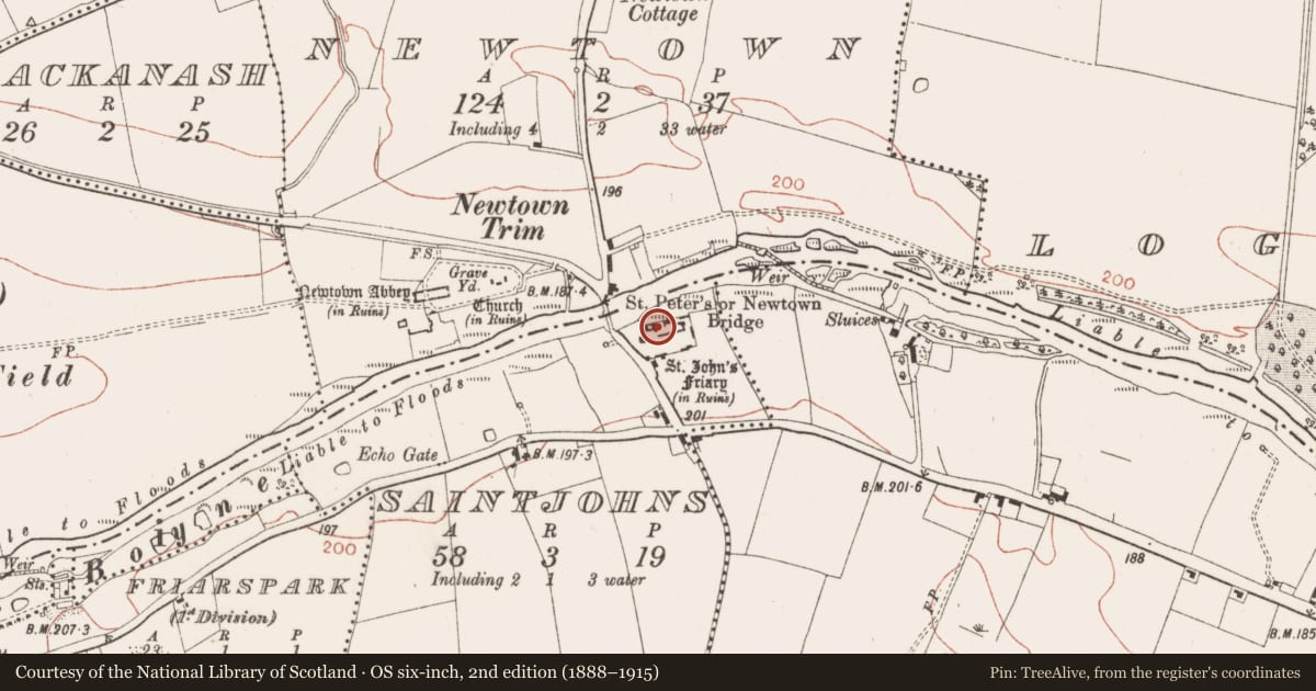 Ordnance Survey six-inch map, 2nd edition (1888–1915) covering the location of Castle - tower house, Saintjohns, County Meath, with a pin at the register's coordinates