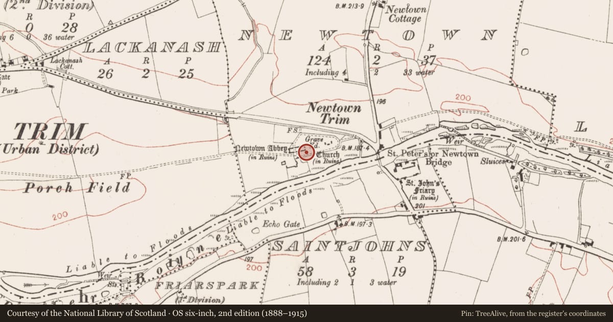 Ordnance Survey six-inch map, 2nd edition (1888–1915) covering the location of Graveslab, Newtown, County Meath, with a pin at the register's coordinates