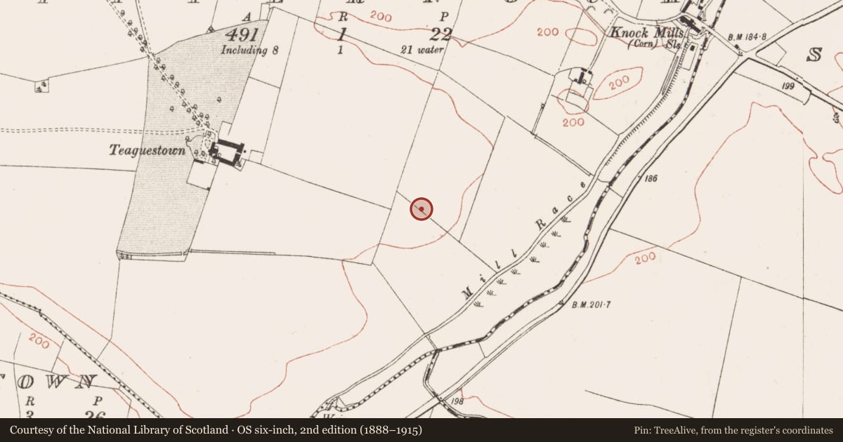 Ordnance Survey six-inch map, 2nd edition (1888–1915) covering the location of Ringfort - rath, Iffernock, County Meath, with a pin at the register's coordinates