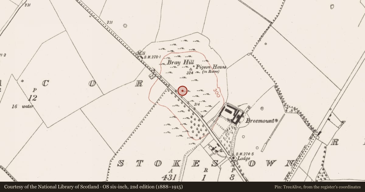 Ordnance Survey six-inch map, 2nd edition (1888–1915) covering the location of Burial, Stokestown, County Meath, with a pin at the register's coordinates