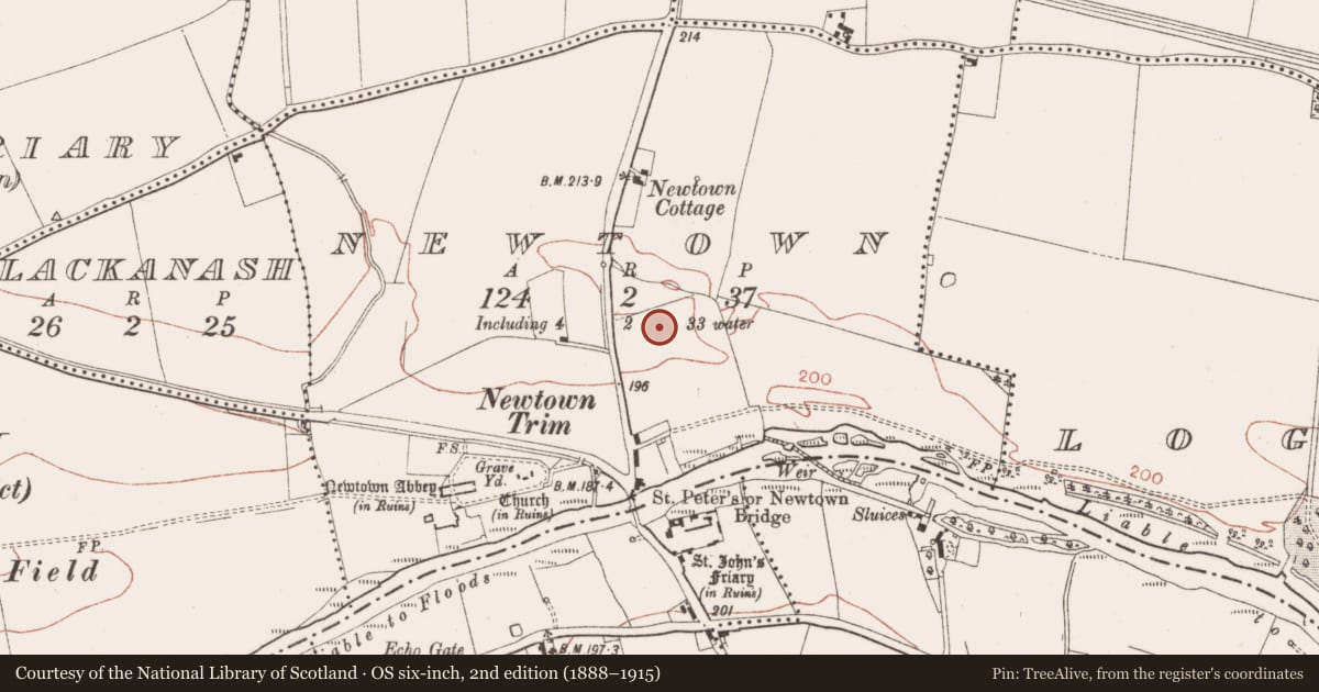 Ordnance Survey six-inch map, 2nd edition (1888–1915) covering the location of Cross-slab (present location), Newtown, County Meath, with a pin at the register's coordinates
