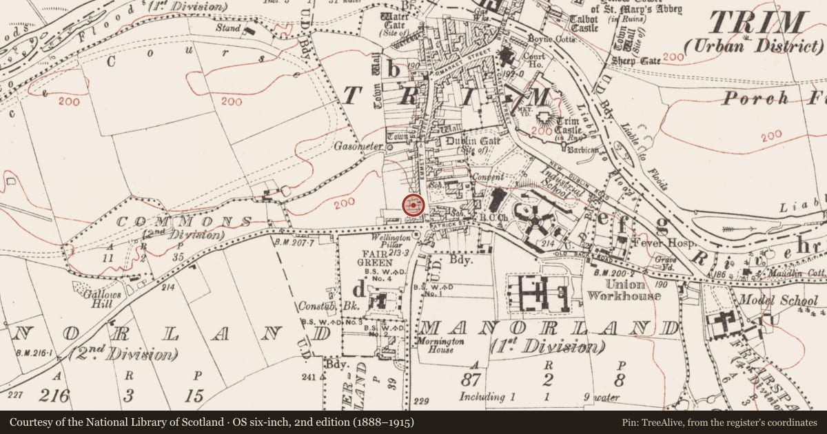Ordnance Survey six-inch map, 2nd edition (1888–1915) covering the location of Burial ground, Townparks South, County Meath, with a pin at the register's coordinates