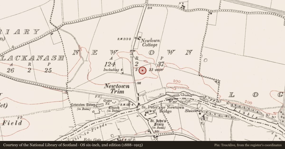 Ordnance Survey six-inch map, 2nd edition (1888–1915) covering the location of Cross - High cross (present location), Newtown, County Meath, with a pin at the register's coordinates
