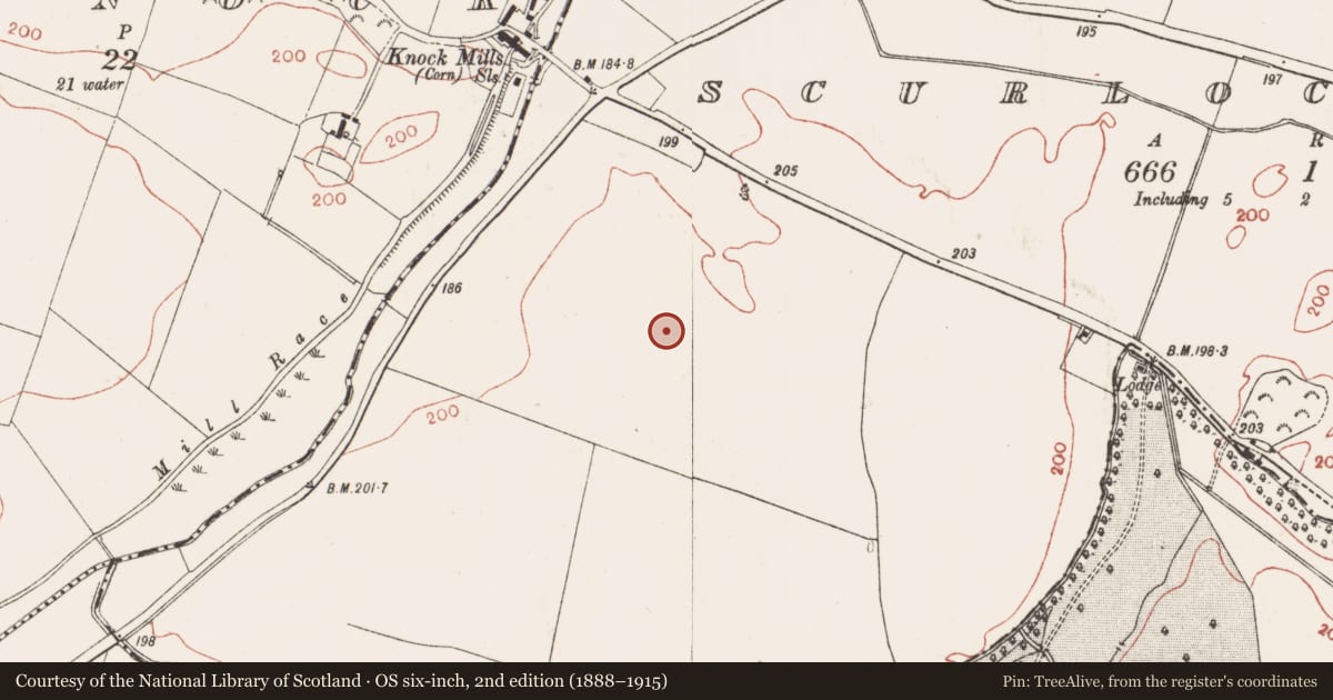 Ordnance Survey six-inch map, 2nd edition (1888–1915) covering the location of Ring-ditch, Scurlockstown, County Meath, with a pin at the register's coordinates