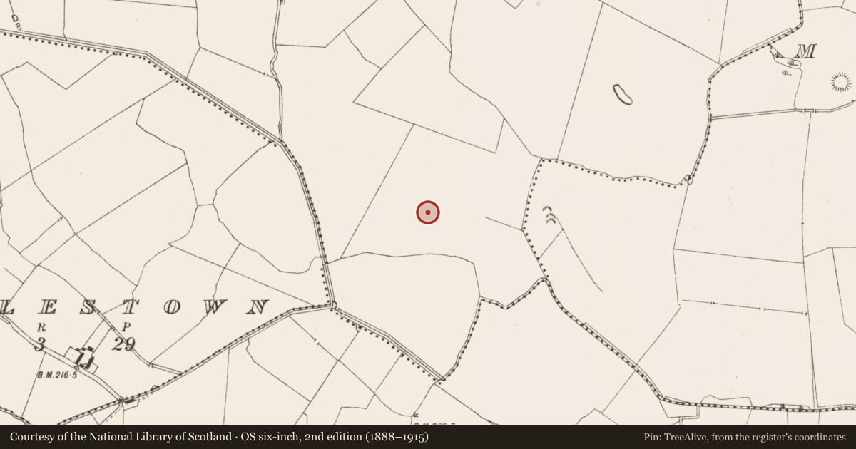 Ordnance Survey six-inch map, 2nd edition (1888–1915) covering the location of Enclosure, Ballaghtalion, County Meath, with a pin at the register's coordinates