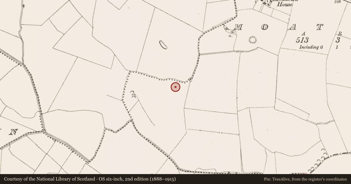 Ordnance Survey six-inch map, 2nd edition (1888–1915) covering the location of Ringfort - rath, Moat Town, County Meath, with a pin at the register's coordinates
