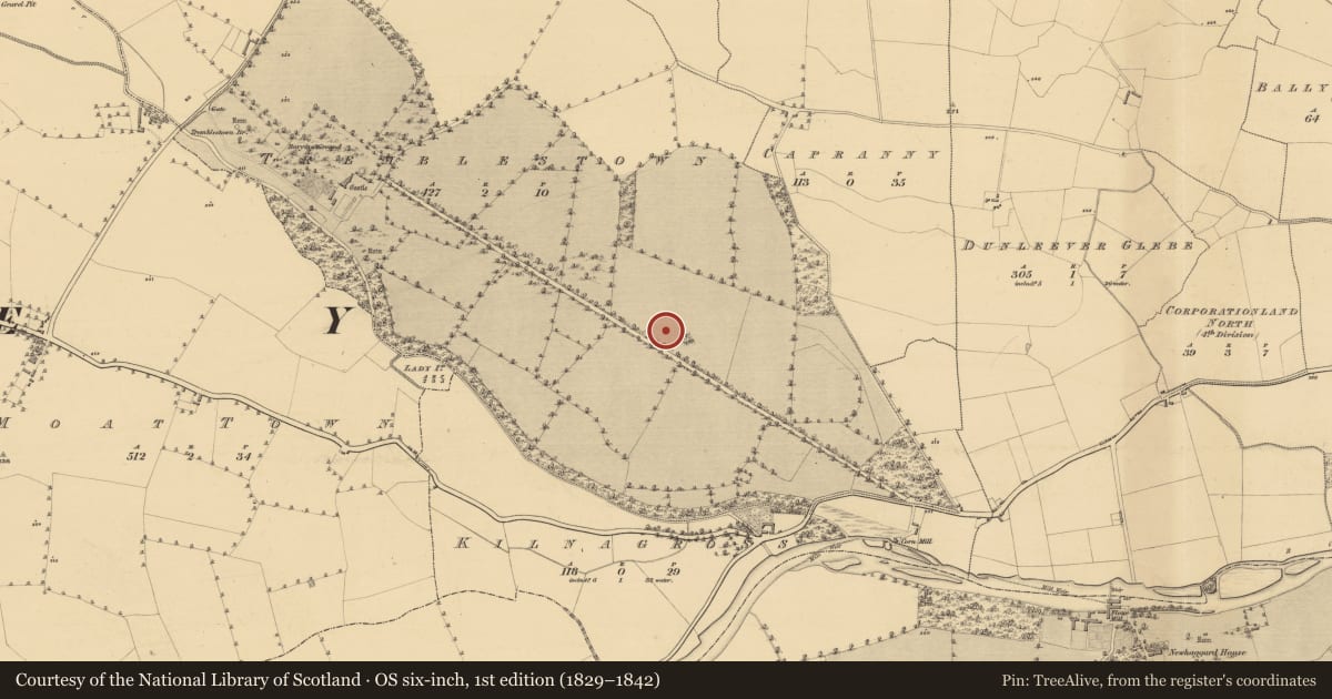 Ordnance Survey six-inch map, 1st edition (1829–1842) covering the location of Ring-ditch, Tremblestown, County Meath, with a pin at the register's coordinates