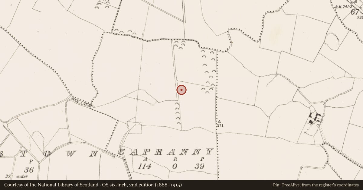 Ordnance Survey six-inch map, 2nd edition (1888–1915) covering the location of Concentric enclosure, Capranny, County Meath, with a pin at the register's coordinates
