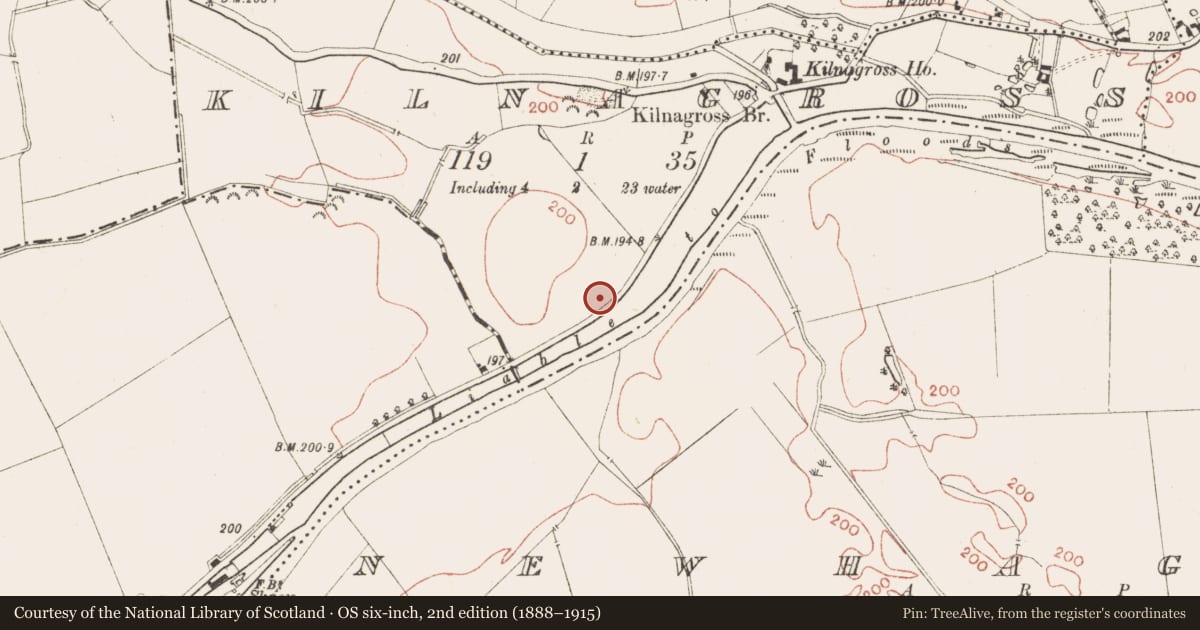 Ordnance Survey six-inch map, 2nd edition (1888–1915) covering the location of Ring-ditch, Kilnagross, County Meath, with a pin at the register's coordinates