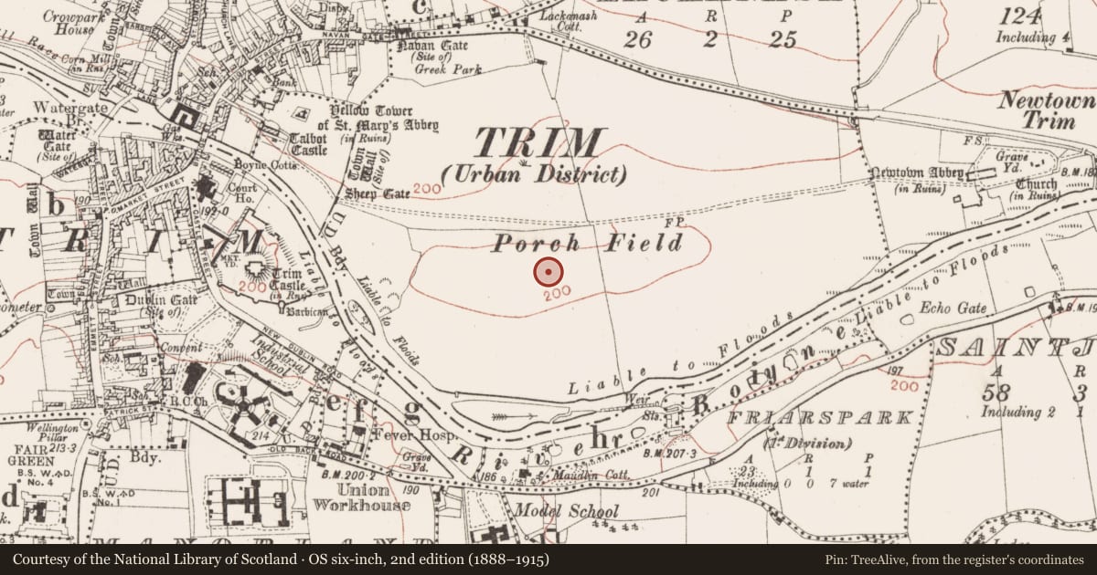 Ordnance Survey six-inch map, 2nd edition (1888–1915) covering the location of Ring-ditch, Blackfriary (2nd division), County Meath, with a pin at the register's coordinates