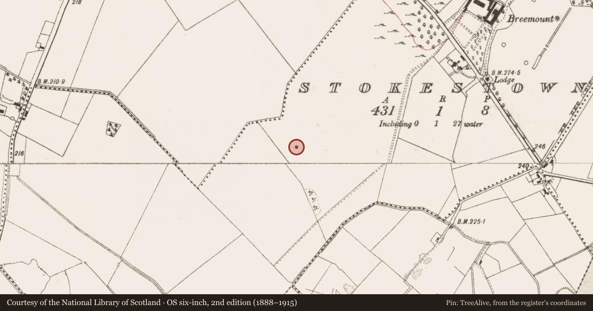 Ordnance Survey six-inch map, 2nd edition (1888–1915) covering the location of Enclosure, Stokestown, County Meath, with a pin at the register's coordinates