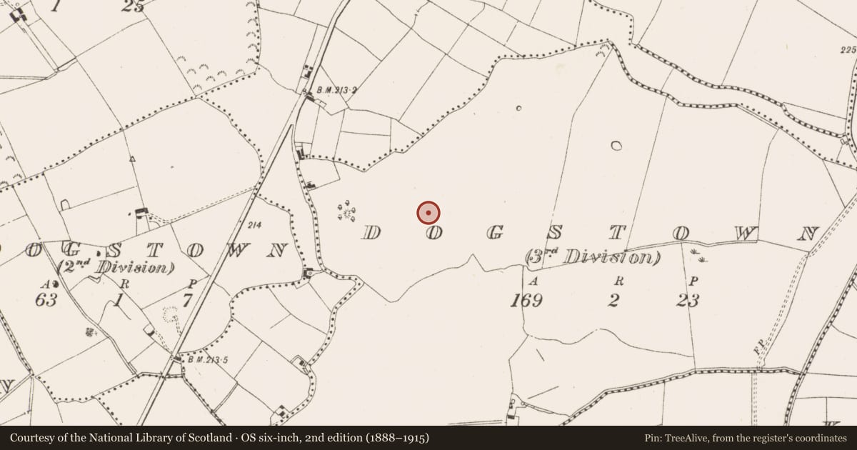 Ordnance Survey six-inch map, 2nd edition (1888–1915) covering the location of Enclosure, Dogstown (3rd division), County Meath, with a pin at the register's coordinates