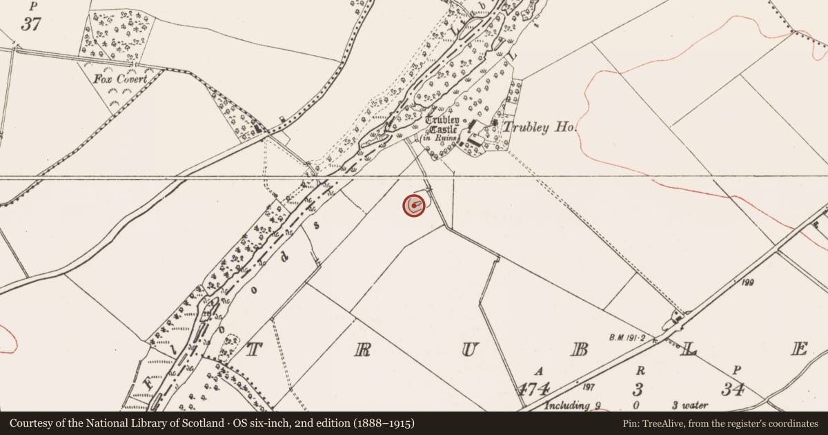 Ordnance Survey six-inch map, 2nd edition (1888–1915) covering the location of Graveyard, Trubley, County Meath, with a pin at the register's coordinates