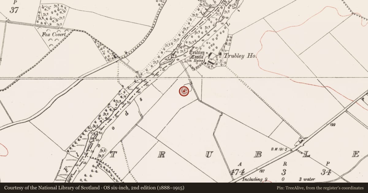 Ordnance Survey six-inch map, 2nd edition (1888–1915) covering the location of Font, Trubley, County Meath, with a pin at the register's coordinates