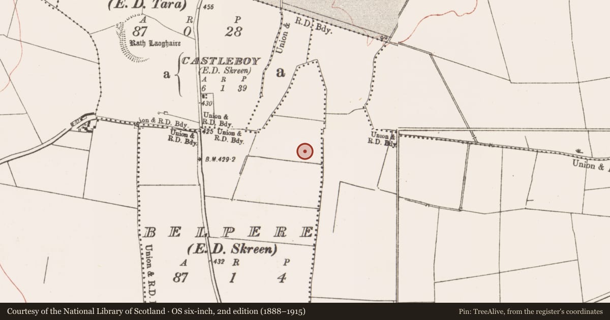 Ordnance Survey six-inch map, 2nd edition (1888–1915) covering the location of Enclosure, Belpere, County Meath, with a pin at the register's coordinates