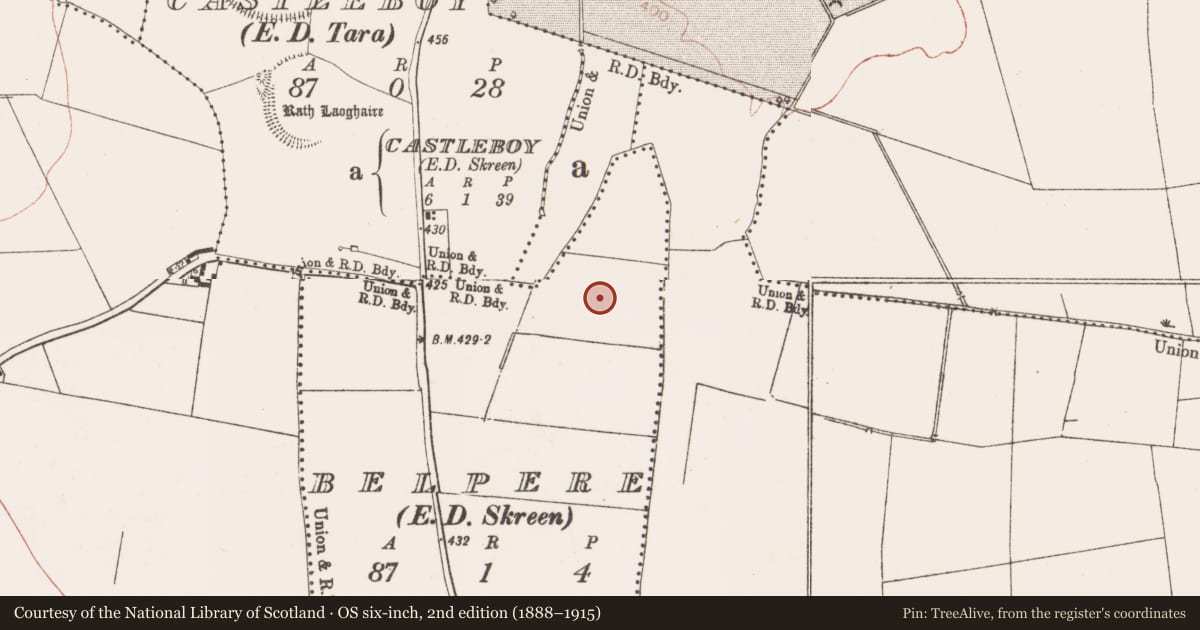 Ordnance Survey six-inch map, 2nd edition (1888–1915) covering the location of Field system, Belpere, County Meath, with a pin at the register's coordinates