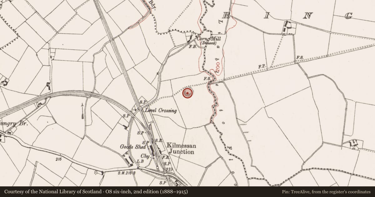Ordnance Survey six-inch map, 2nd edition (1888–1915) covering the location of Ringfort - rath, Kilmessan, County Meath, with a pin at the register's coordinates