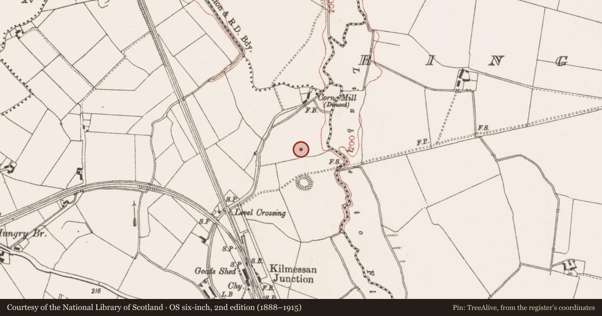 Ordnance Survey six-inch map, 2nd edition (1888–1915) covering the location of Ring-ditch, Kilmessan, County Meath, with a pin at the register's coordinates