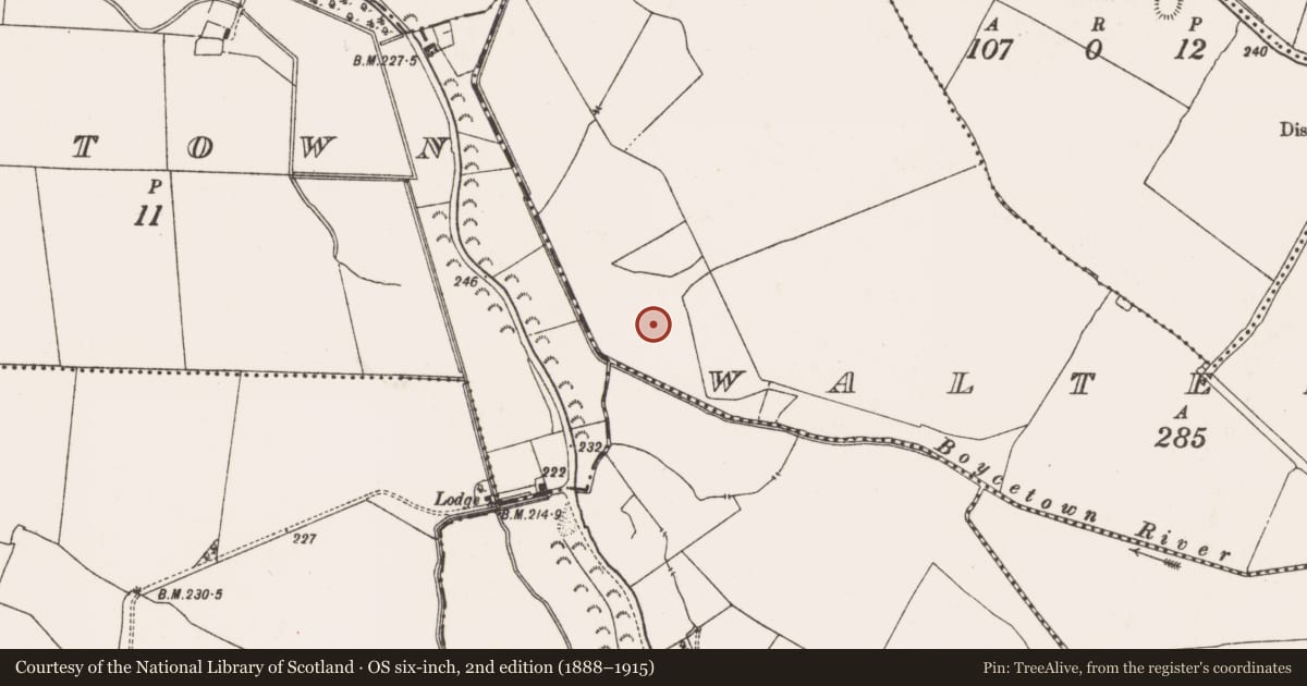 Ordnance Survey six-inch map, 2nd edition (1888–1915) covering the location of Field system, Walterstown, County Meath, with a pin at the register's coordinates