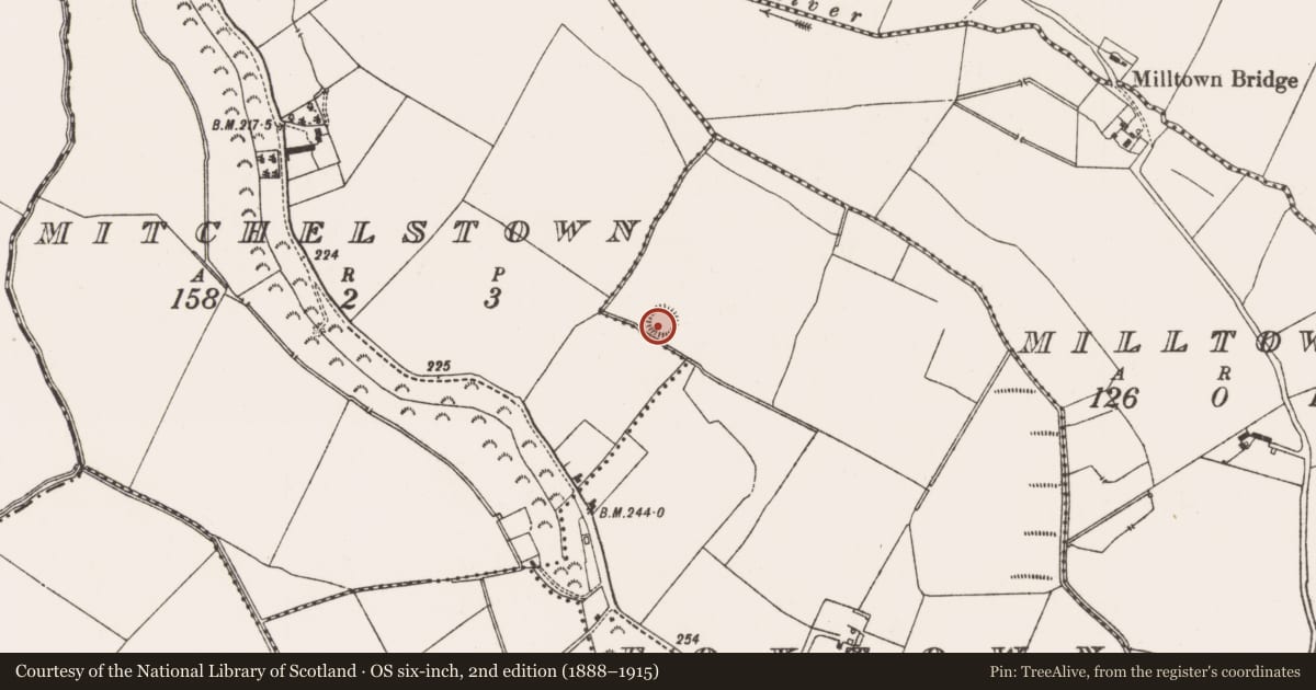 Ordnance Survey six-inch map, 2nd edition (1888–1915) covering the location of Ringfort - rath, Foxtown, County Meath, with a pin at the register's coordinates