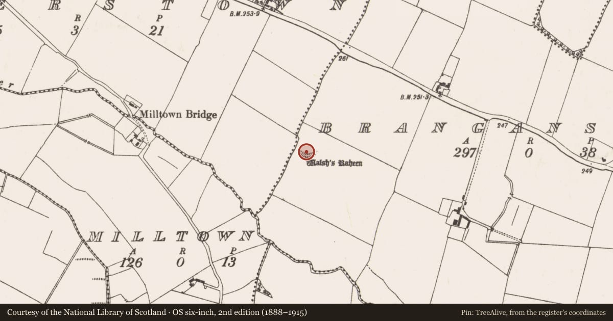 Ordnance Survey six-inch map, 2nd edition (1888–1915) covering the location of Ringfort - rath, Branganstown, County Meath, with a pin at the register's coordinates