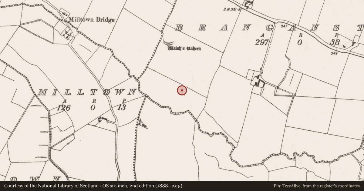 Ordnance Survey six-inch map, 2nd edition (1888–1915) covering the location of Earthwork, Branganstown, County Meath, with a pin at the register's coordinates