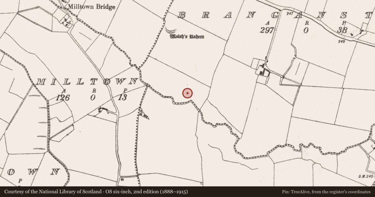 Ordnance Survey six-inch map, 2nd edition (1888–1915) covering the location of Ringfort - rath, Branganstown, County Meath, with a pin at the register's coordinates