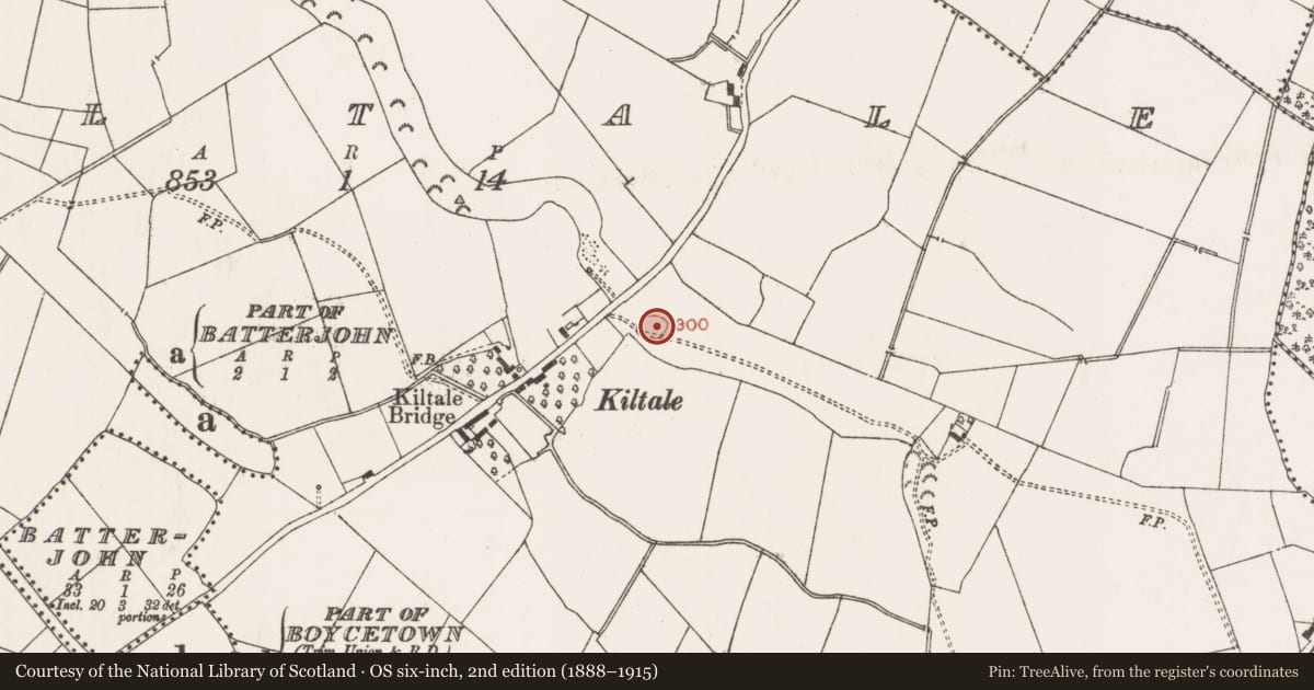 Ordnance Survey six-inch map, 2nd edition (1888–1915) covering the location of Ringfort - rath, Kiltale, County Meath, with a pin at the register's coordinates