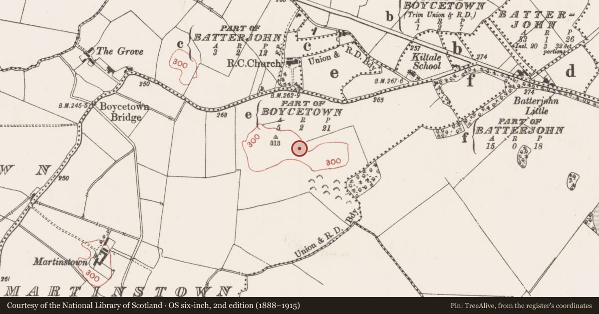 Ordnance Survey six-inch map, 2nd edition (1888–1915) covering the location of Flat cemetery, Martinstown, County Meath, with a pin at the register's coordinates