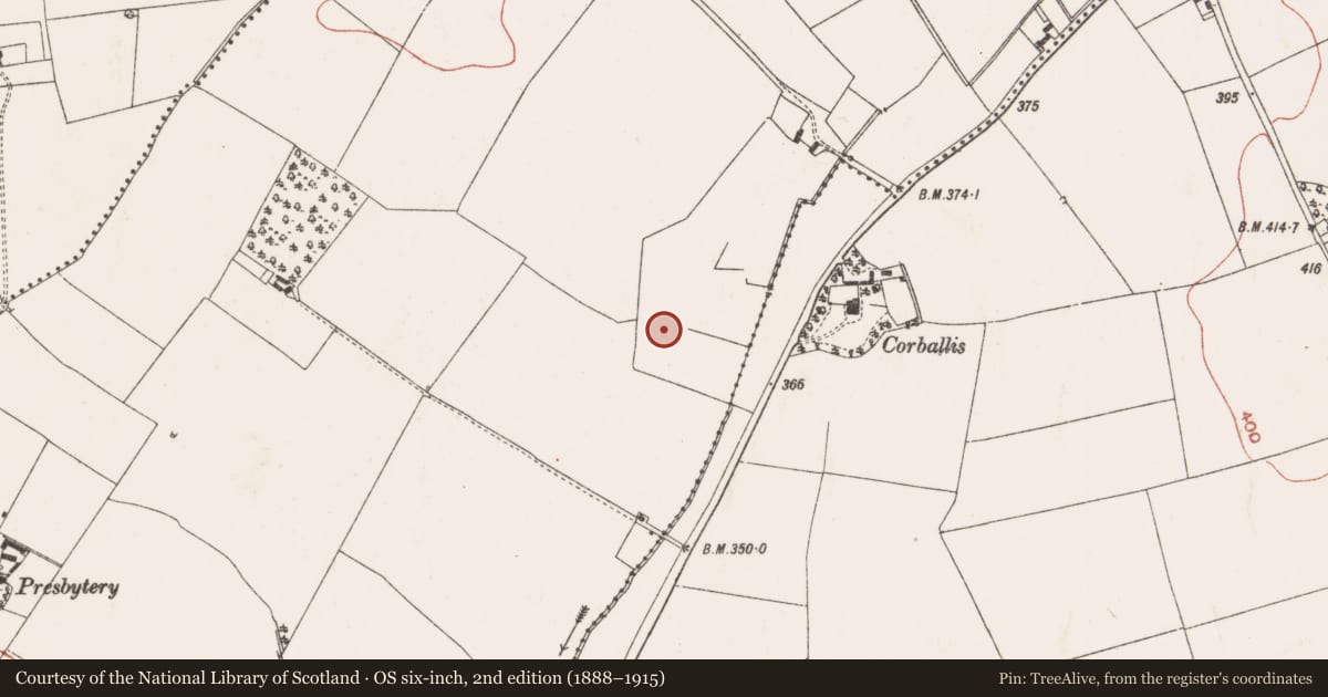 Ordnance Survey six-inch map, 2nd edition (1888–1915) covering the location of Moated site, Belpere, County Meath, with a pin at the register's coordinates